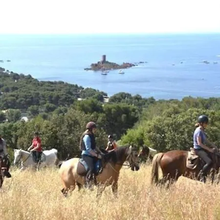 Dans Un Cadre D'exception, Vue Panoramique A Agay Cote D'azur, Village Cap Esterel, T2 Avec Jardin, Golf, Climatisation, Wifi, 5 Piscines 아파트