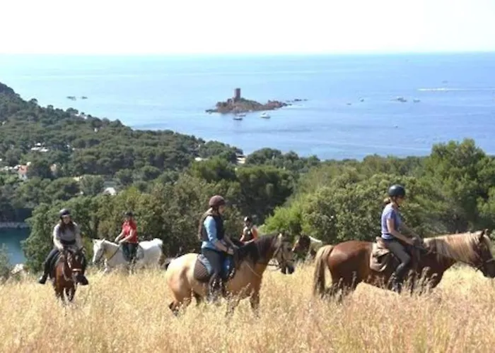 Dans Un Cadre D'exception, Vue Panoramique A Agay Cote D'azur, Village Cap Esterel, 2 Chambres, Avec Jardin, Golf, Climatisation, Wifi, 5 Piscines Apartmán